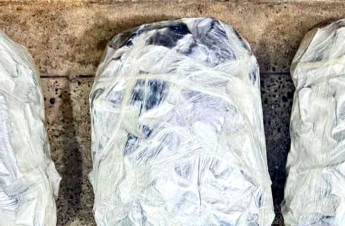 Polícia Militar apreende quase 2 kg de entorpecente e rádio comunicador em bairro de Santo Antônio de Jesus; o material apreendido foi apresentado na DT